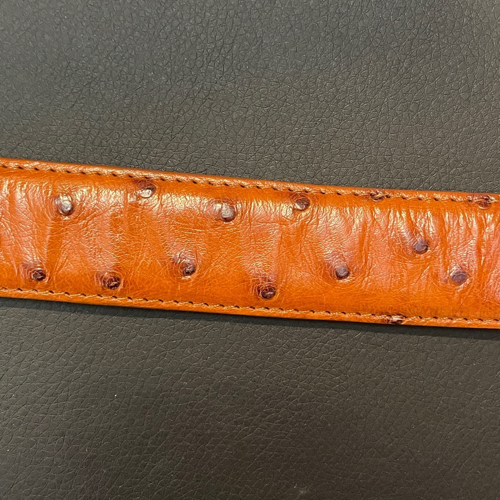 Belt/Buckle Bundle - Picture 12 of 15